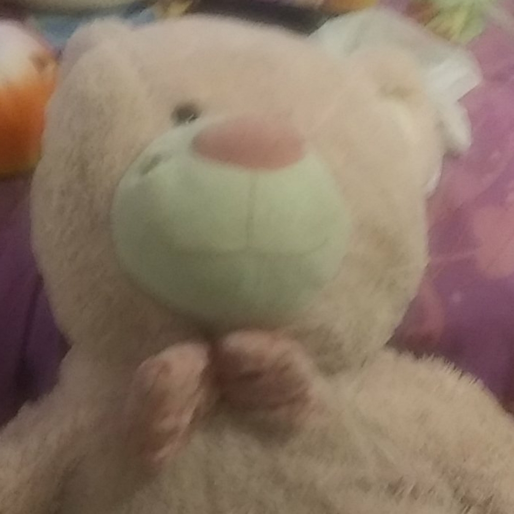 Bear
